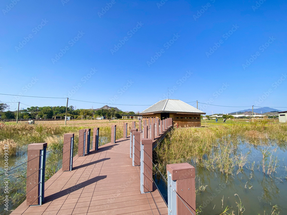 Wooden Path Through Wetlands in Long Valley Nature Park