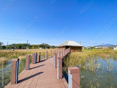 Obraz na płótnie Wooden Path Through Wetlands in Long Valley Nature Park w salonie