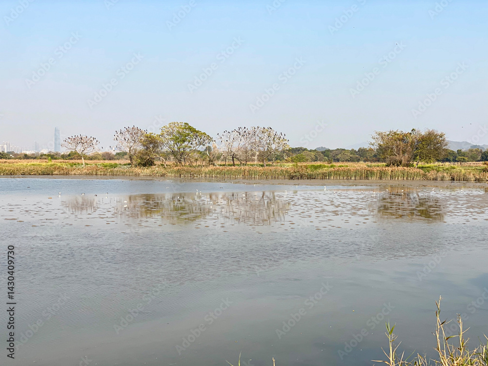 Tranquil Wetland Lake Landscape with Distant Mountains and Clear Sky, Mei Po, Hong Kong
