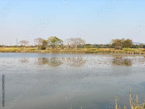 Obraz na płótnie Tranquil Wetland Lake Landscape with Distant Mountains and Clear Sky, Mei Po, Hong Kong w salonie