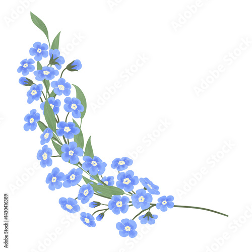A sprig of blue forget-me-nots, a floral composition, handmade digital illustration on a white background. An element for the design