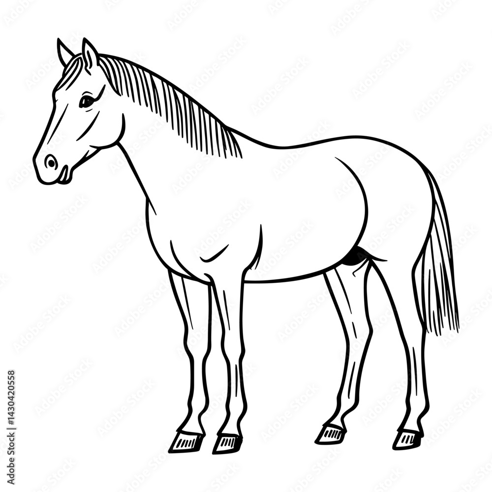 Fototapeta premium Horse drawing art sketch vector