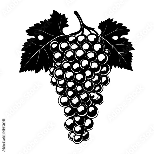 Simple grapes linear illustration black white vector