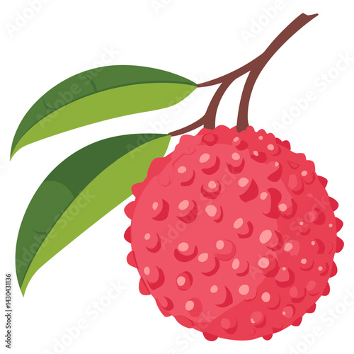 Lychee illustration fruit art vector