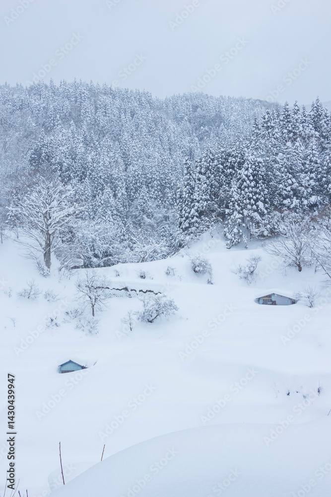 大雪が降った氷ノ山の風景 鳥取県 若桜町 大雪が降った氷ノ山の風景 鳥取県 若桜町