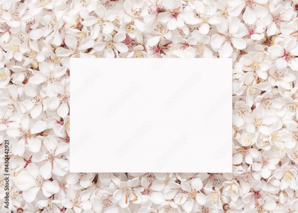Blank horizontal paper card over white cherry flowers top view, spring wedding mockup