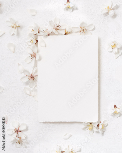 Obraz na płótnie Blank vertical paper card near white cherry flowers top view, spring wedding mockup w salonie