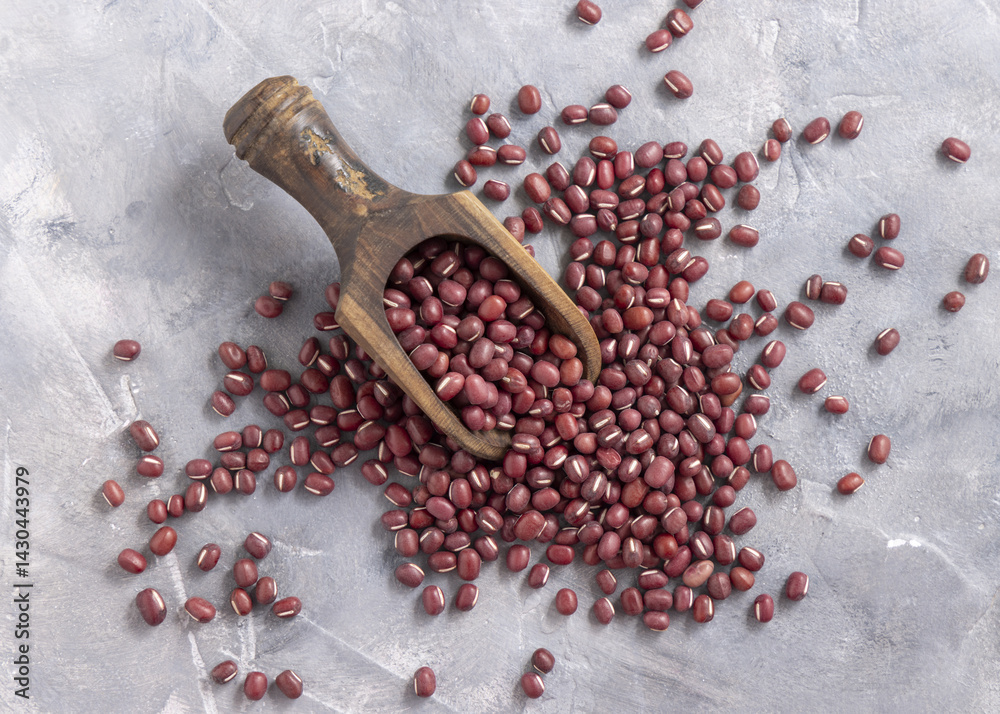 Scoop full of dried azuki beans on gray top view. East Asian legumes, vegetarian protein source