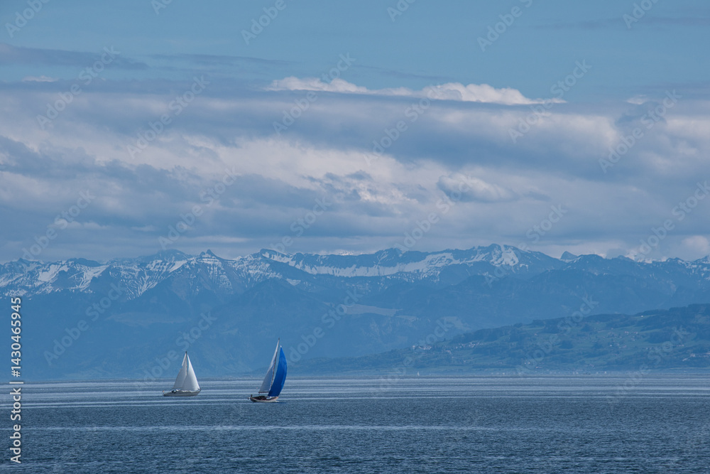 Bodensee, Segelboote vor schneebedeckten Alpen