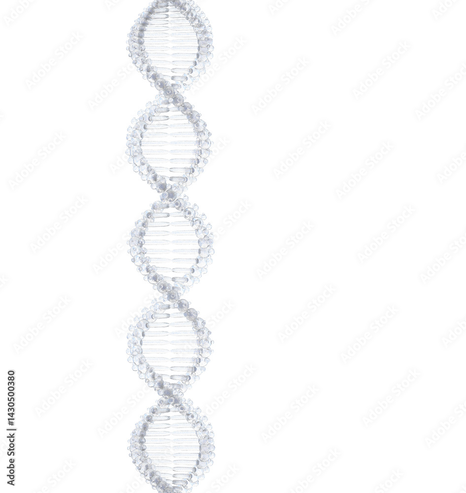 dna strand on white background