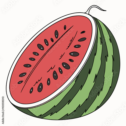 watermelon vector illustration
