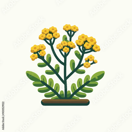 plant, yarrow, background, blossom, flower, nature, herb, medicine, garden, white, bloom, natural, leaf, green, floral, achillea millefolium, beautiful, achillea, herbal, petal, milfoil, blooming, flo