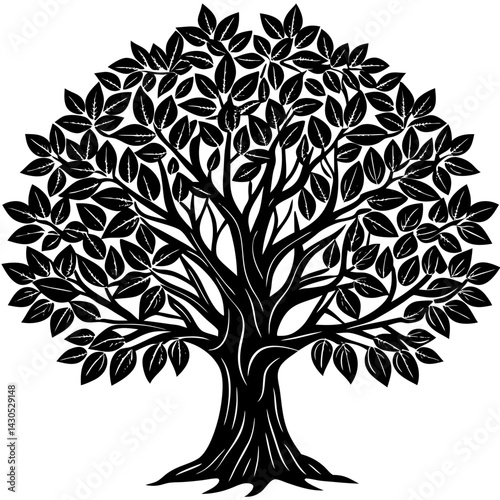 Rubber Tree