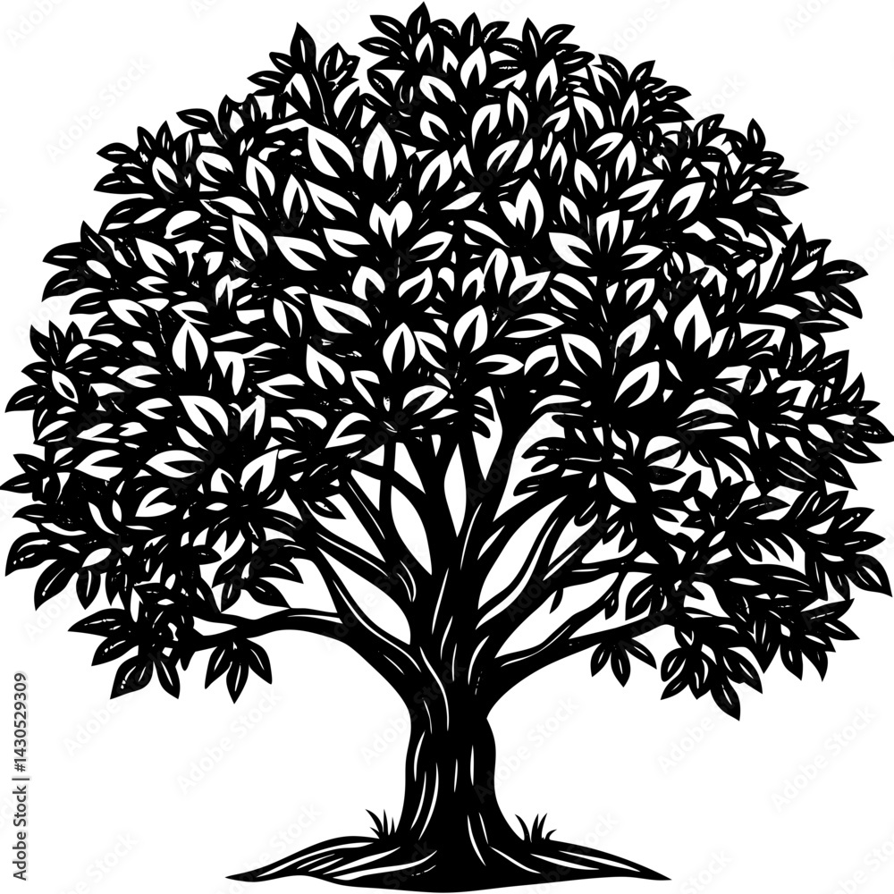 Obraz premium Rubber Tree