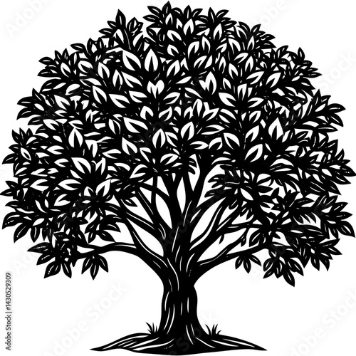 Rubber Tree