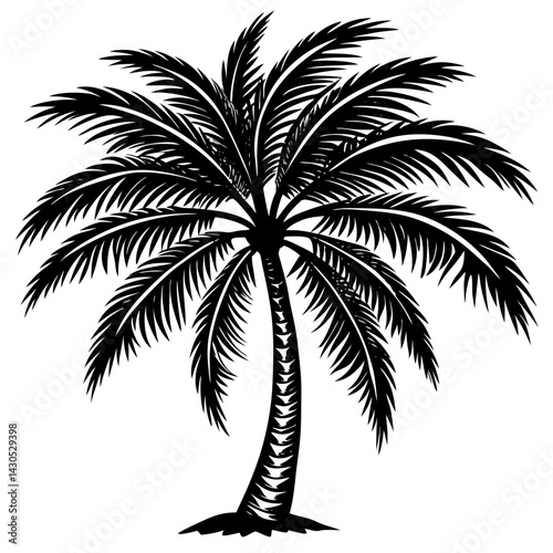 palm tree silhouette