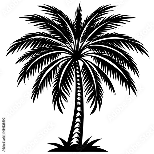 palm tree silhouette