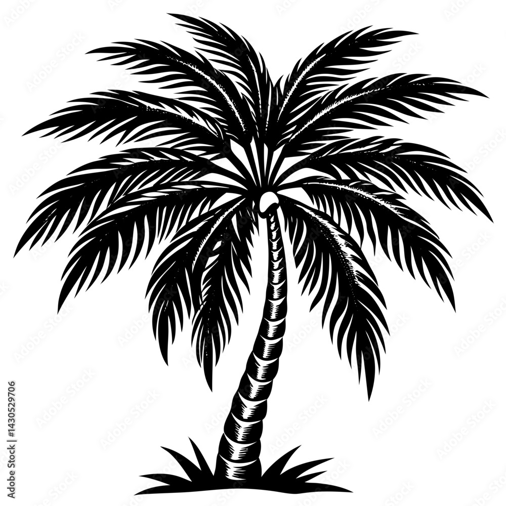 Obraz premium palm tree silhouette