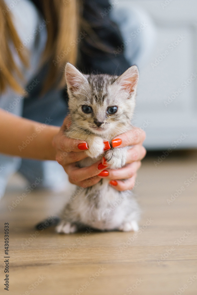 Adorable Kitten Being Held Indoors