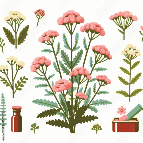 plant, yarrow, background, blossom, flower, nature, herb, medicine, garden, white, bloom, natural, leaf, green, floral, achillea millefolium, beautiful, achillea, herbal, petal, milfoil, blooming, flo