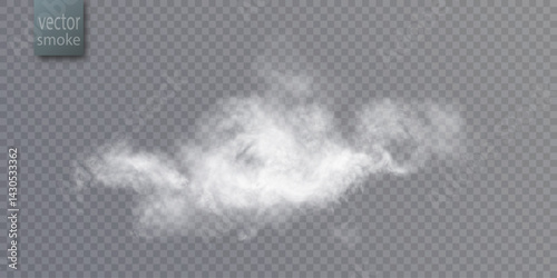 A translucent cloud of realistic white smoke with soft texture and blurred edges on a transparent background.