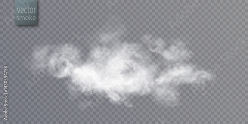Soft swirling white smoke on a clear backdrop, with gentle opacity and natural dispersion. Ideal for atmospheric enhancements, surreal compositions, or visual storytelling. 

