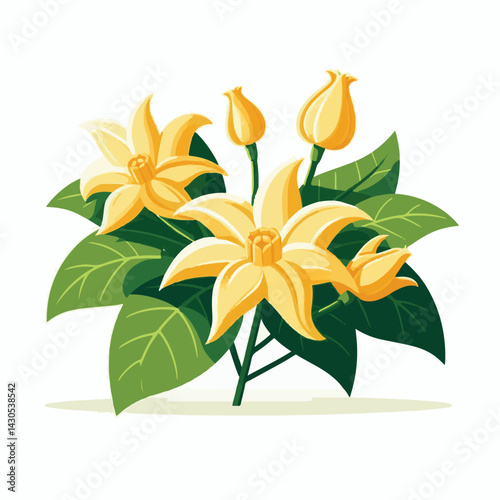 plant, blossom, nature, flora, bloom, aromatherapy, flower, natural, aroma, yellow, leaf, tropical, beauty, cananga, perfume, green, isolated, botanical, background, spa, essential, fragrance, organic
