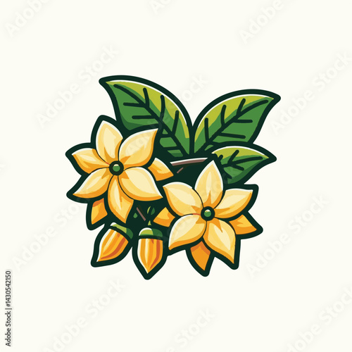 plant, blossom, nature, flora, bloom, aromatherapy, flower, natural, aroma, yellow, leaf, tropical, beauty, cananga, perfume, green, isolated, botanical, background, spa, essential, fragrance, organic