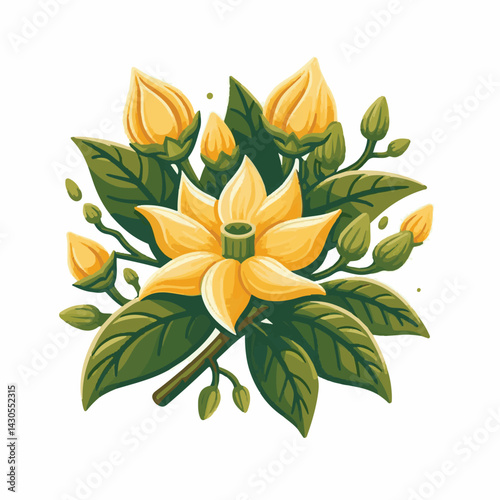 plant, blossom, nature, flora, bloom, aromatherapy, flower, natural, aroma, yellow, leaf, tropical, beauty, cananga, perfume, green, isolated, botanical, background, spa, essential, fragrance, organic
