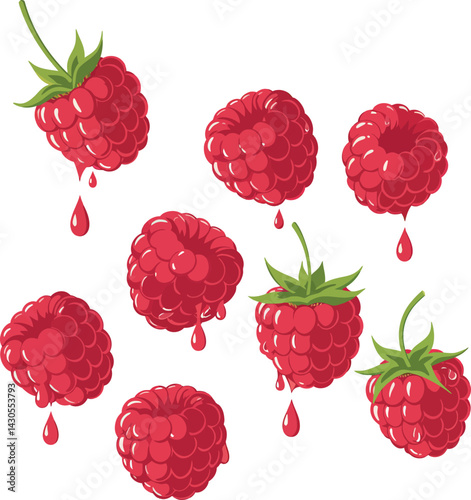 Red Raspberry Fruit with Green Stems and Dripping Juice Vector Illustration 
