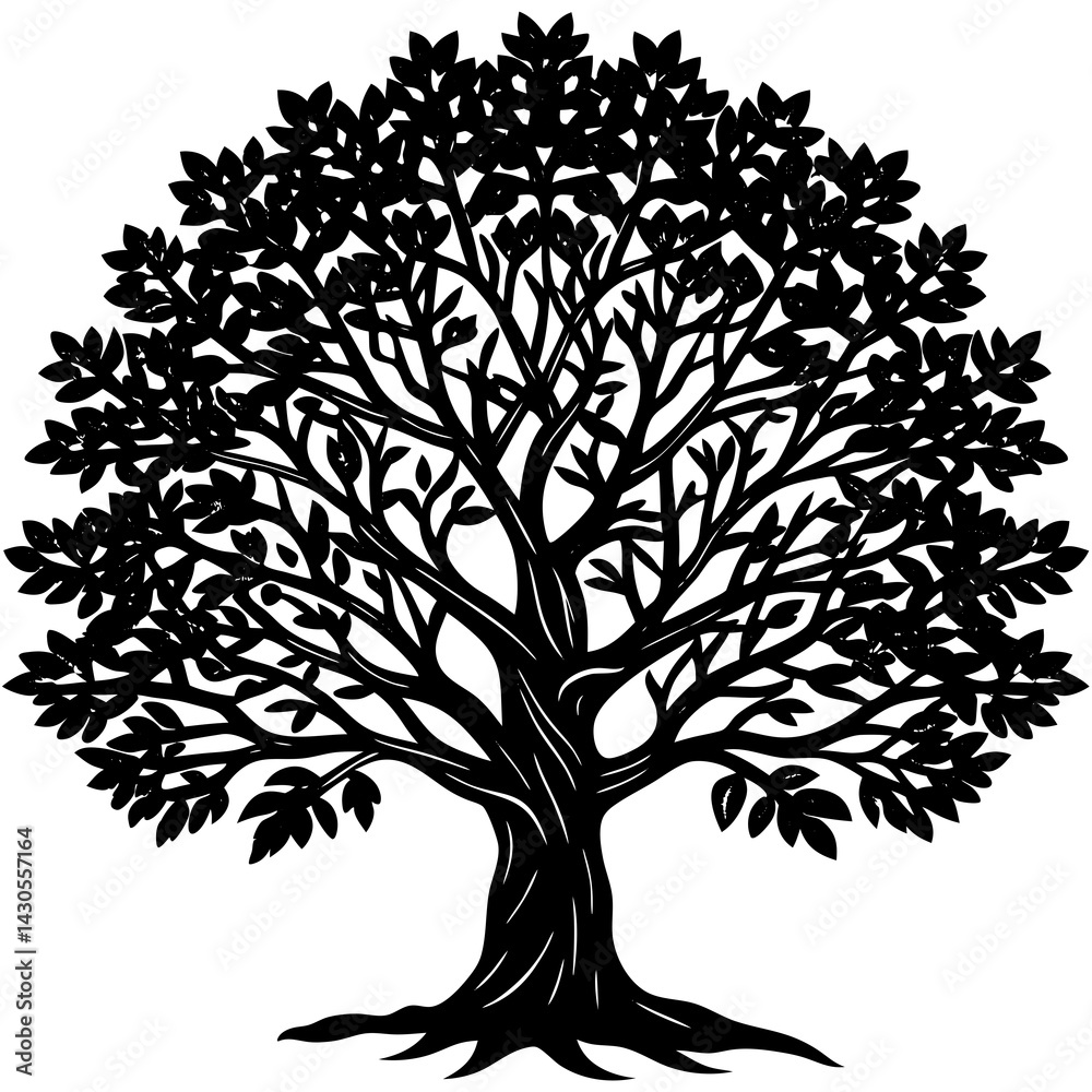 Obraz premium Sandalwood tree