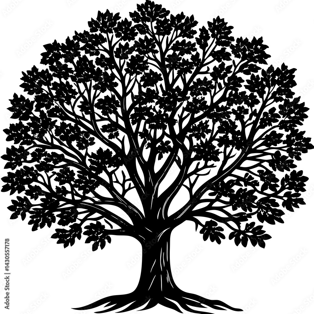 Fototapeta premium Sandalwood tree