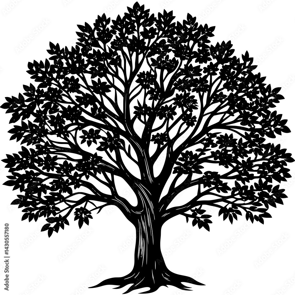 Obraz premium Sandalwood tree