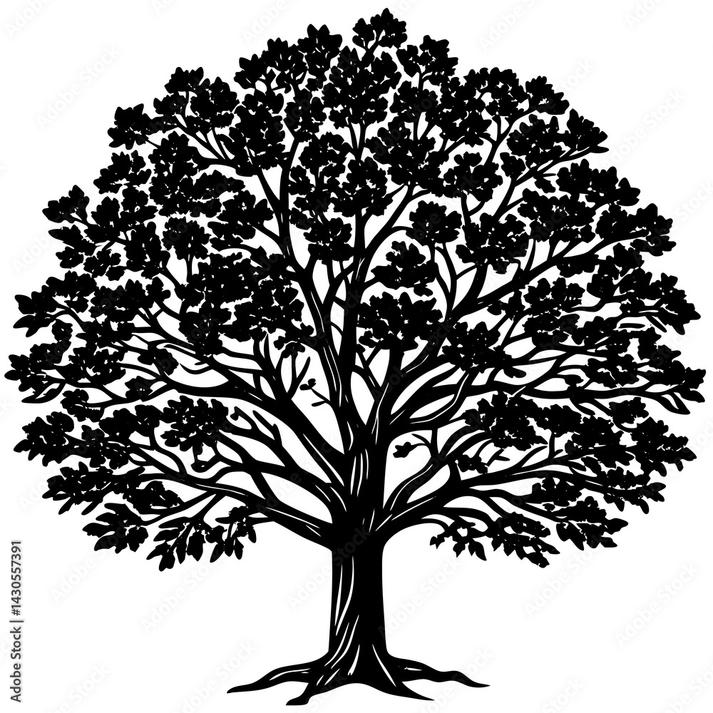 Obraz premium Sandalwood tree