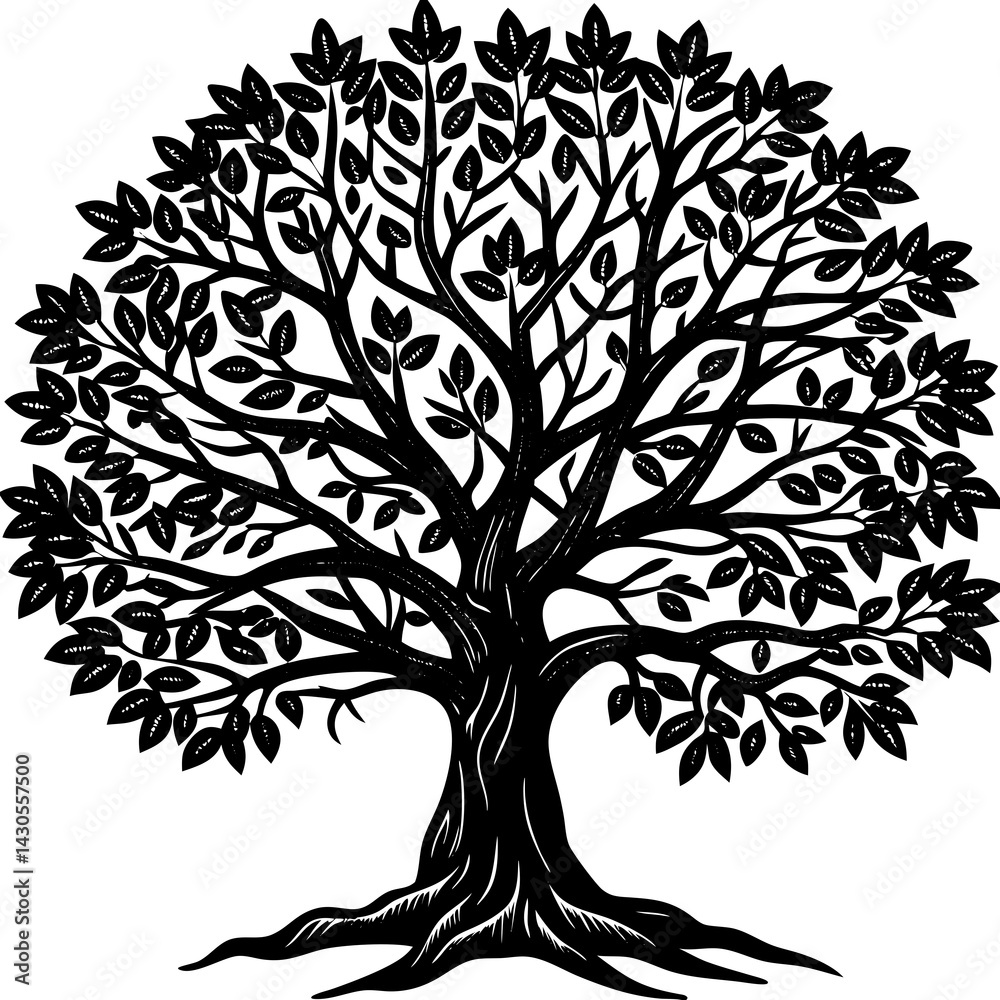 Obraz premium Sandalwood tree