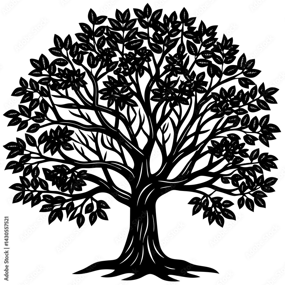 Fototapeta premium Sandalwood tree