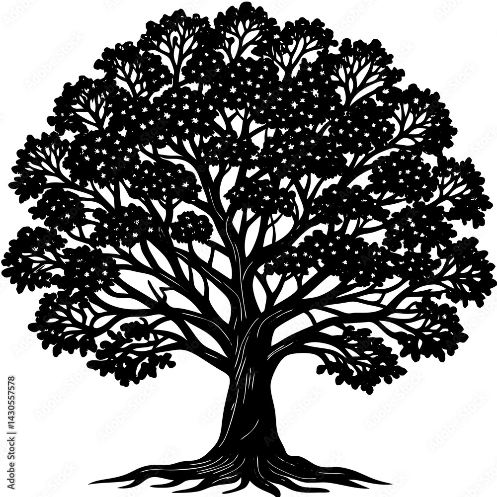 Obraz premium Sandalwood tree