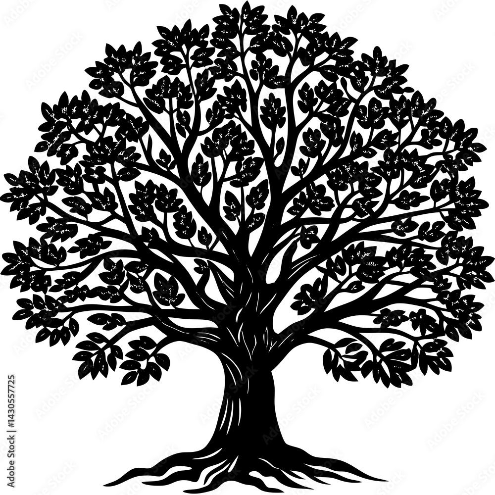 Obraz premium Sandalwood tree