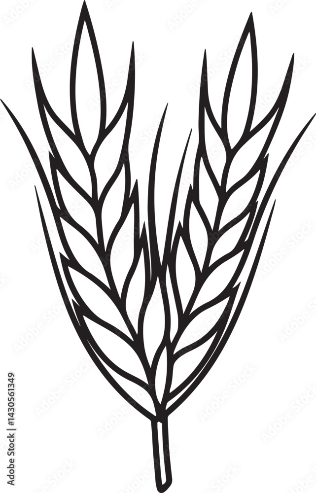wheat line art, black outline, vector and illustration, coloring book page line art drawing