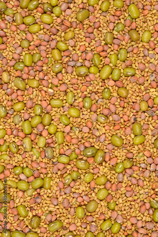 A high-angle shot shows a dense mix of small, tan alfalfa seeds, larger green mung beans, and reddish radish seeds, creating a textured pattern