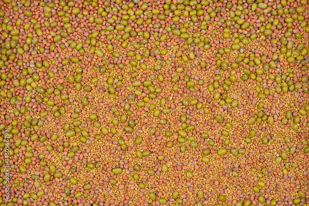 A high-angle shot shows a dense mix of small, tan alfalfa seeds, larger green mung beans, and reddish radish seeds, creating a textured pattern