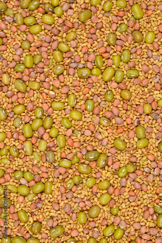 Obraz na płótnie A high-angle shot shows a dense mix of small, tan alfalfa seeds, larger green mung beans, and reddish radish seeds, creating a textured pattern w salonie