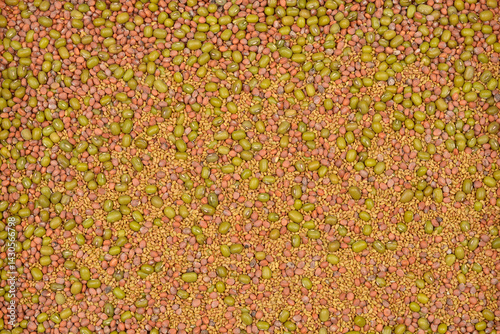 Obraz na płótnie A high-angle shot shows a dense mix of small, tan alfalfa seeds, larger green mung beans, and reddish radish seeds, creating a textured pattern w salonie