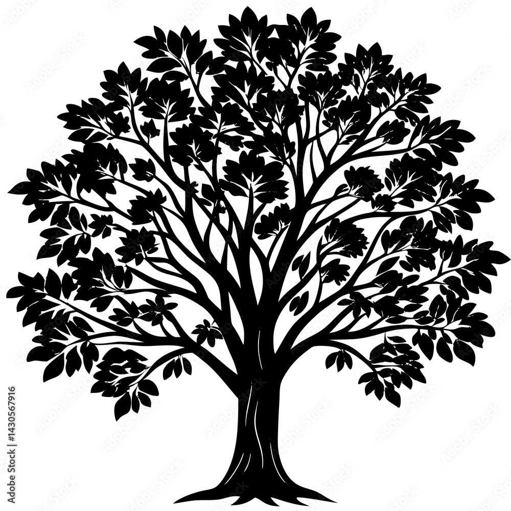 Obraz premium Eucalyptus tree