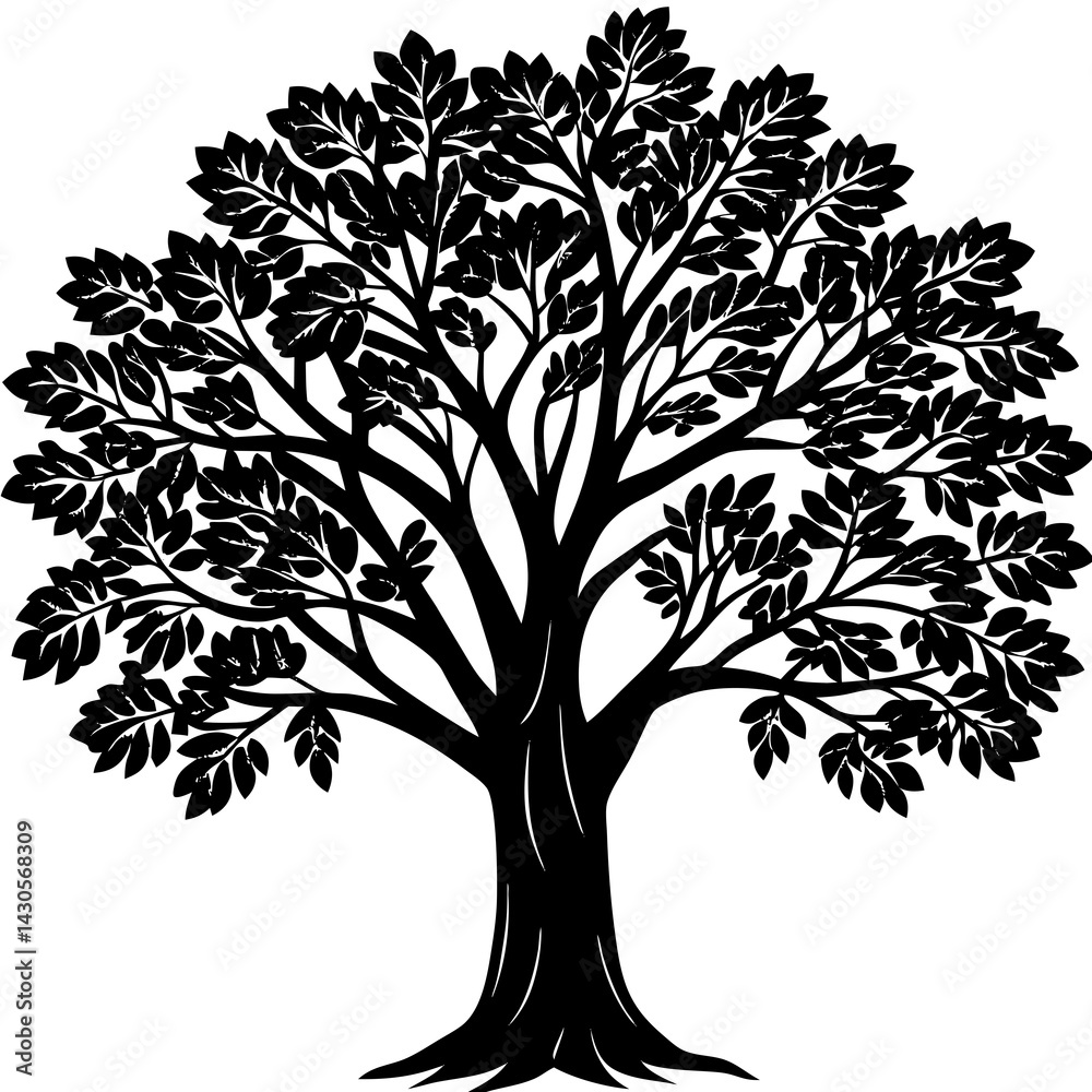 Obraz premium Eucalyptus tree