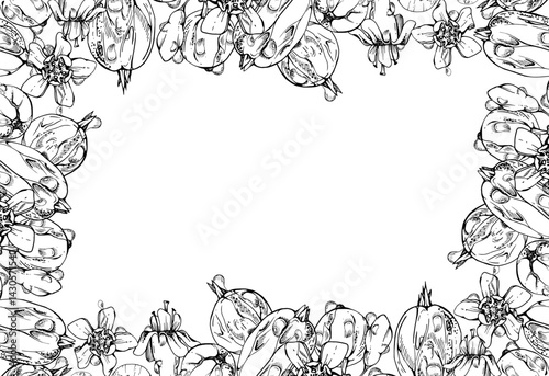 Gooseberry Currant garden berries, flowers in water dew drops hand drawn in vector ink. Isolated corner border frame illustration. Home preserves, stationery, food store decor, recipe book, cafe menu