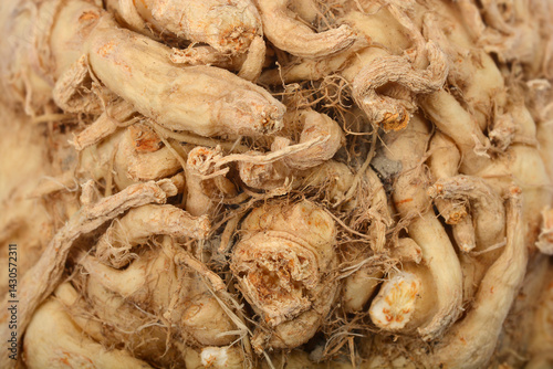 Obraz na płótnie A detailed close-up shows the intricate texture and rootlets of a celeriac, highlighting its rough, beige surface w salonie