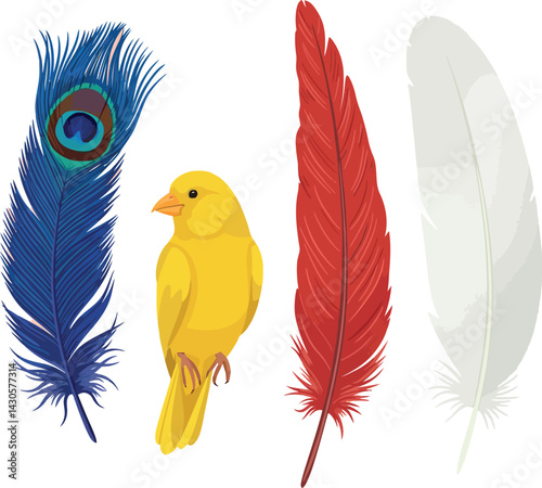 Yellow canary bird with blue red white feathers vector illustration design 