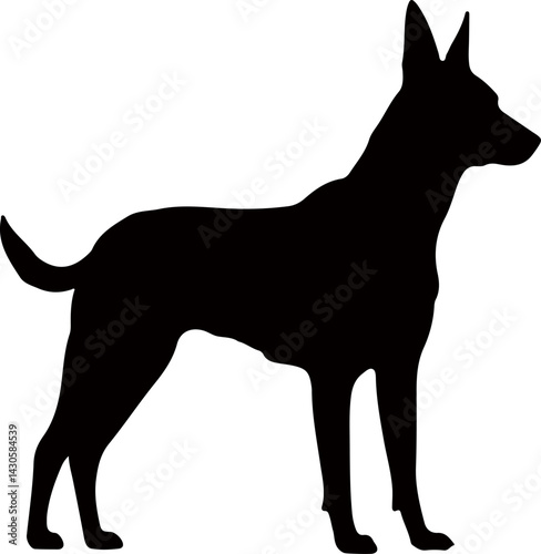 Vector of Shiba Inu Dog