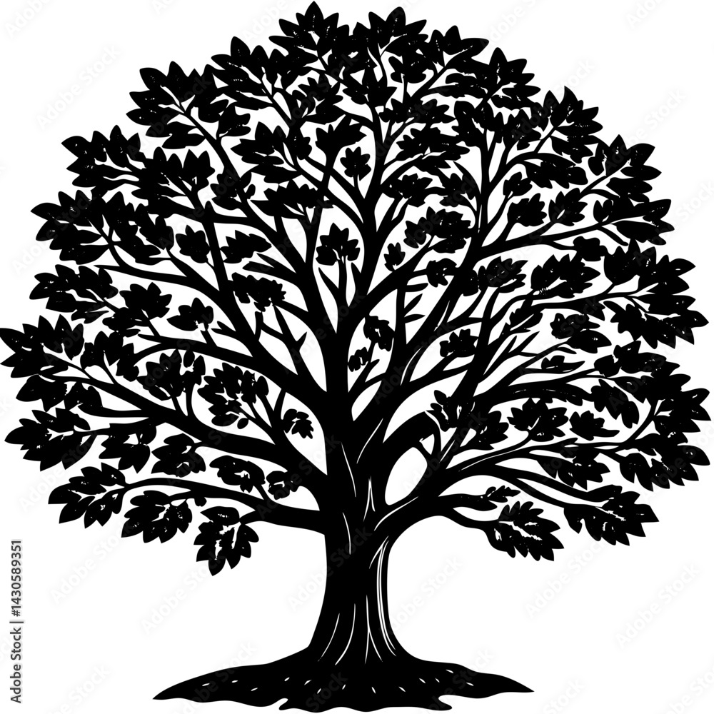 Fototapeta premium Teak tree